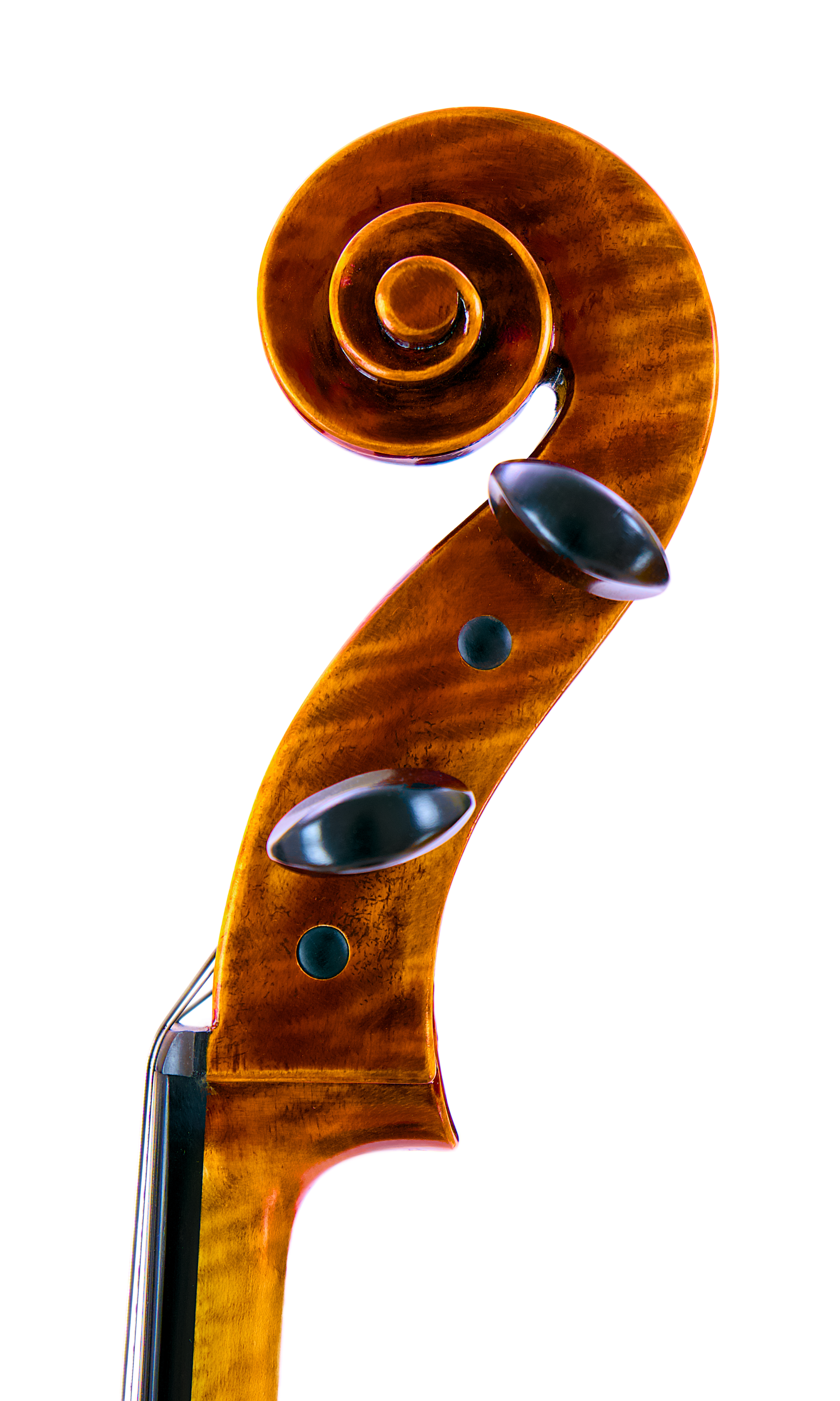 Snow Cello SC400 - Princeton Violins