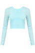 Mesh Sleeve Crop Tops - 4 colours