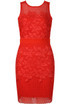 Intricate Crochet Lace Bodycon Dress - 4 Colours