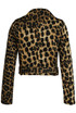 Leopard Cropped Biker Jacket