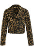 Leopard Cropped Biker Jacket