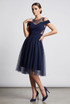 Off Shoulder Net Overlay Skater Dress - 2 Colours