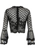 Lace Mesh Overlay Bell Sleeves Tops - 2 Colours