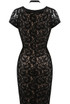 Black Lace Overlay Choker Neck Dress