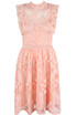 Floral Lace Overlay Skater Dress - 3 Colours