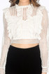 Frill Lace Overlay Crop Top