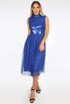Sequin Bodice Tulle Dress