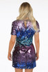 Multicolour Sequin Short Sleeves Dress