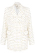 Golden Trim Double Breast Blazer