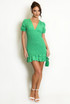 Polka Dot Print V Neck Mini Dress