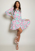 Printed Skater Shirt Dress