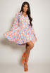 Printed Skater Shirt Dress