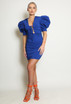Lace Up Front Puff Sleeve Mini Dress