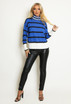 Roll Neck Striped Knitted Jumper