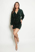 Sequin V Neck Mini Dress