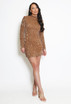 Velvet Sequin Long Sleeve Dress