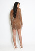 Velvet Sequin Long Sleeve Dress