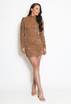 Velvet Sequin Long Sleeve Dress