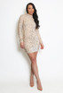 Velvet Sequin Long Sleeve Dress