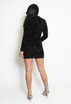 Velvet Sequin Long Sleeve Dress