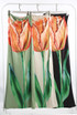 Tulip Print Bandeau Maxi Dress