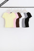 Short Sleeve Fitted Ribbed Top