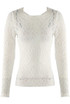 Delicate Sheer Lace Long Sleeve Top
