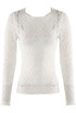 Delicate Sheer Lace Long Sleeve Top