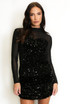 Mesh Sequin Long Sleeve Top