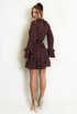Polka Dots Chiffon Skater Dress