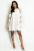 Lace Ruffle Sleeve Dress