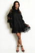 Lace Ruffle Sleeve Dress