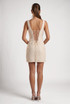 Corset Lace Back Mini Dress