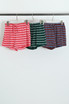 Striped Casual Shorts