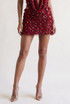 Sequin Tassel Low Rise Mini Skirt