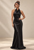 Satin Cowl Neck Maxi dress