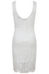 Cream Flower Lace Detail Back Zip Up Lined Bodycon Dress