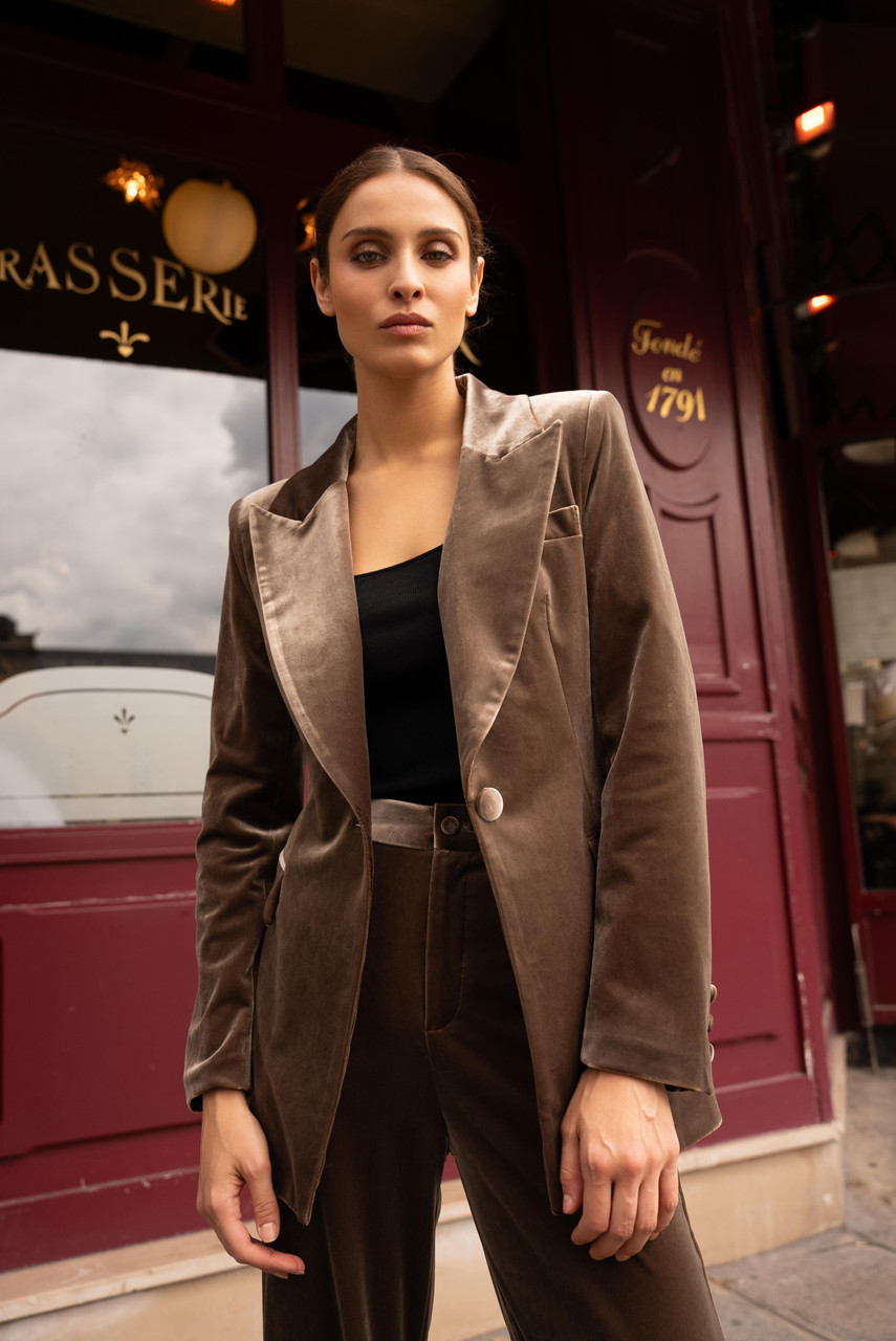 Velvet Single Button Blazer