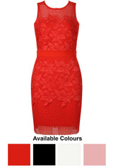 Intricate Crochet Lace Bodycon Dress - 4 Colours