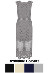 Lace Mesh Fall Midi Dress - 4 Colours