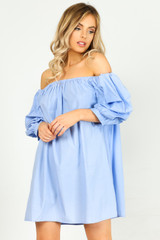 Bardot Ruched Sleeve Dress - 2 Colours