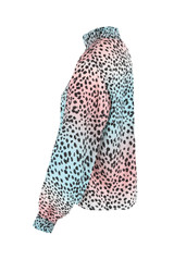 Leopard Print High Neck Blouse