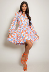 Printed Skater Shirt Dress