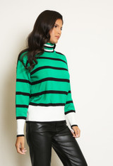 Roll Neck Striped Knitted Jumper