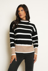 Roll Neck Striped Knitted Jumper