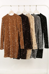 Velvet Sequin Long Sleeve Dress