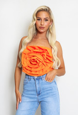 Corsage Halter Neck Crop Tops