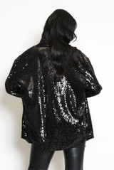 Long Sleeve Collared Sequin Blouse