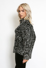 Sequin Long Sleeve Blouse
