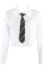 Cropped Shirt And Tie